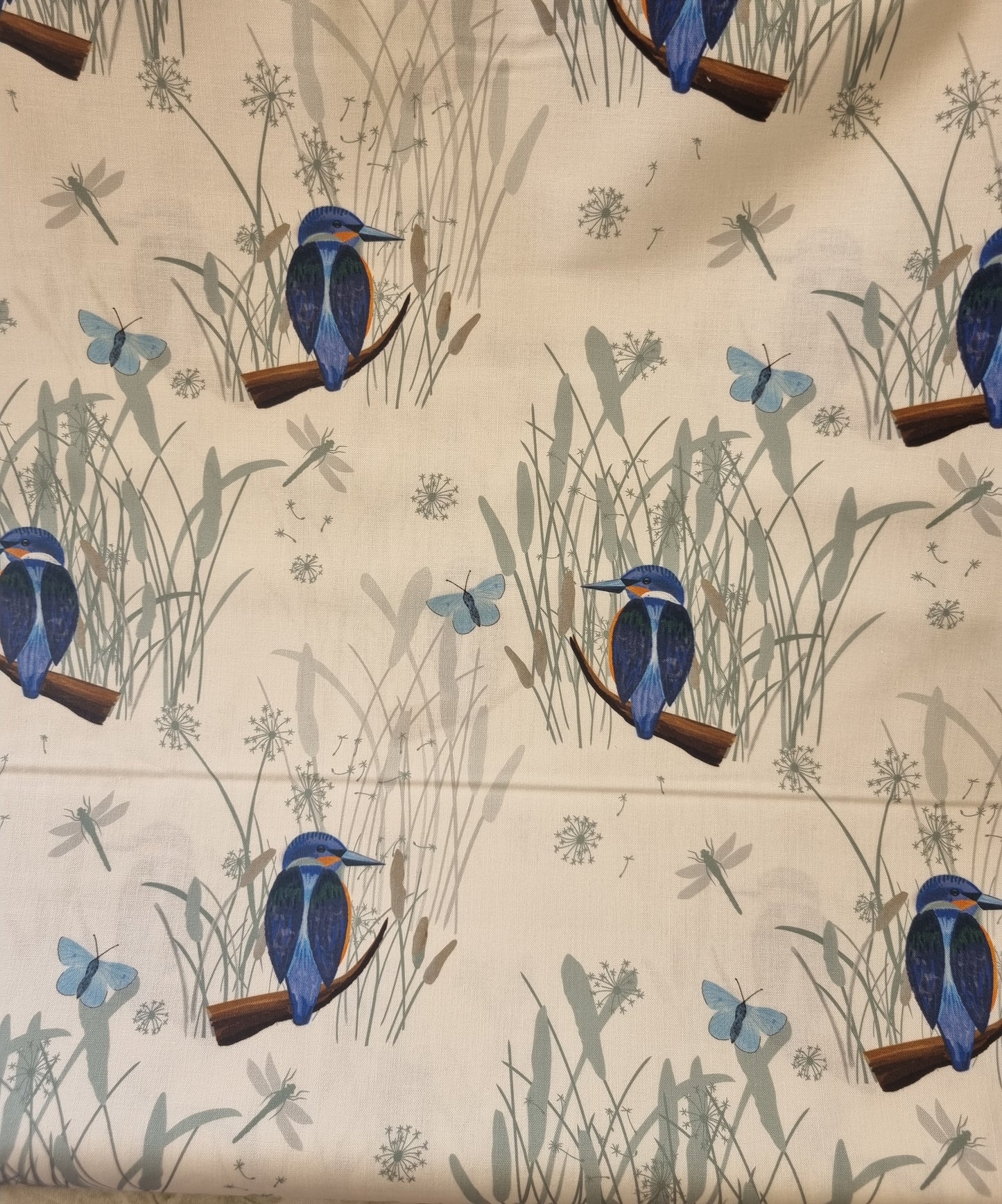 Kingfisher