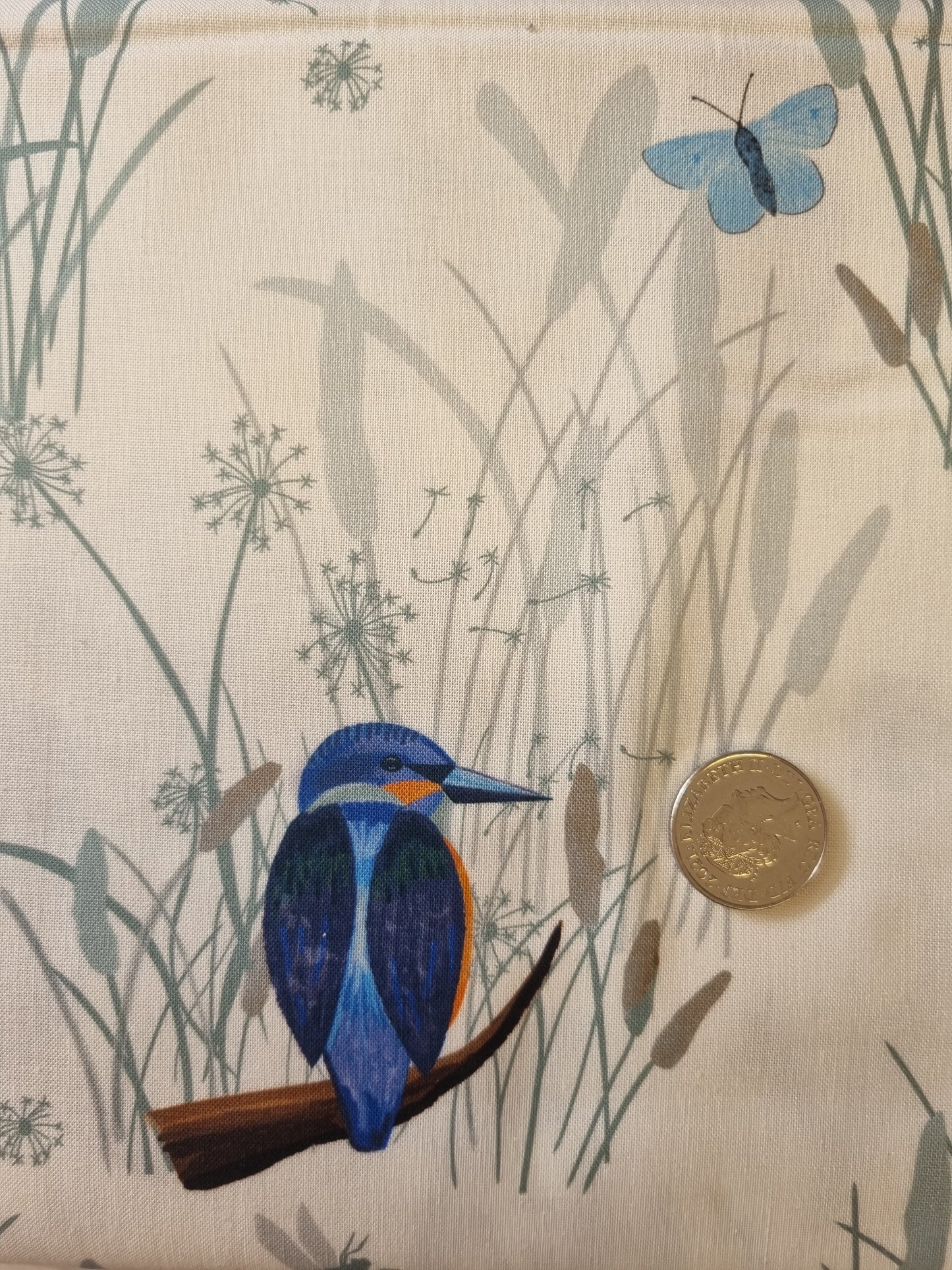 Kingfisher