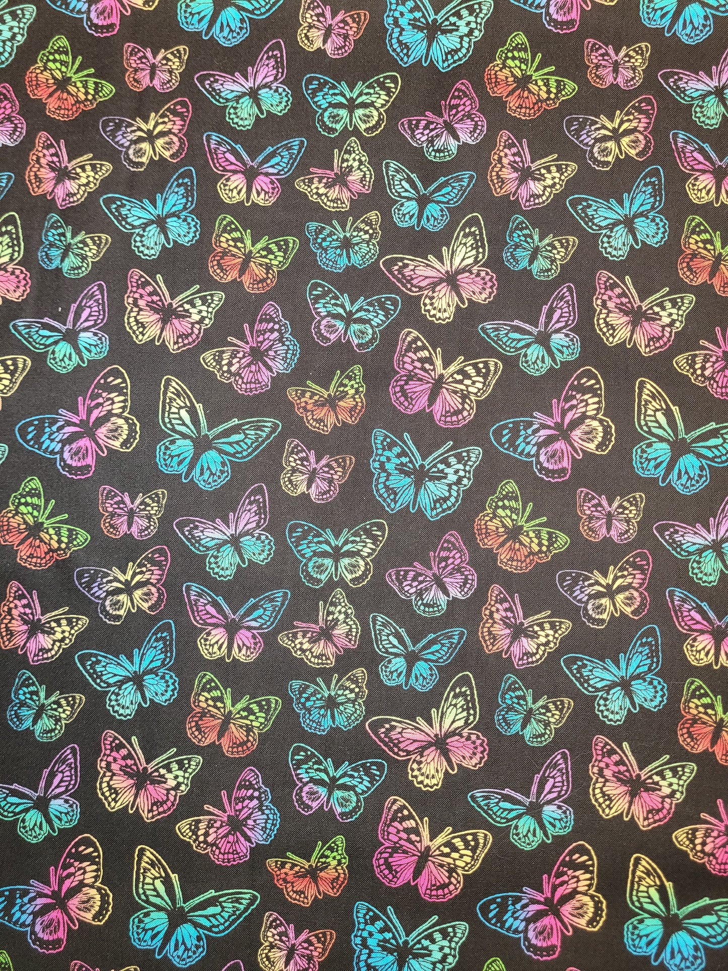 Little Johnny Butterfly