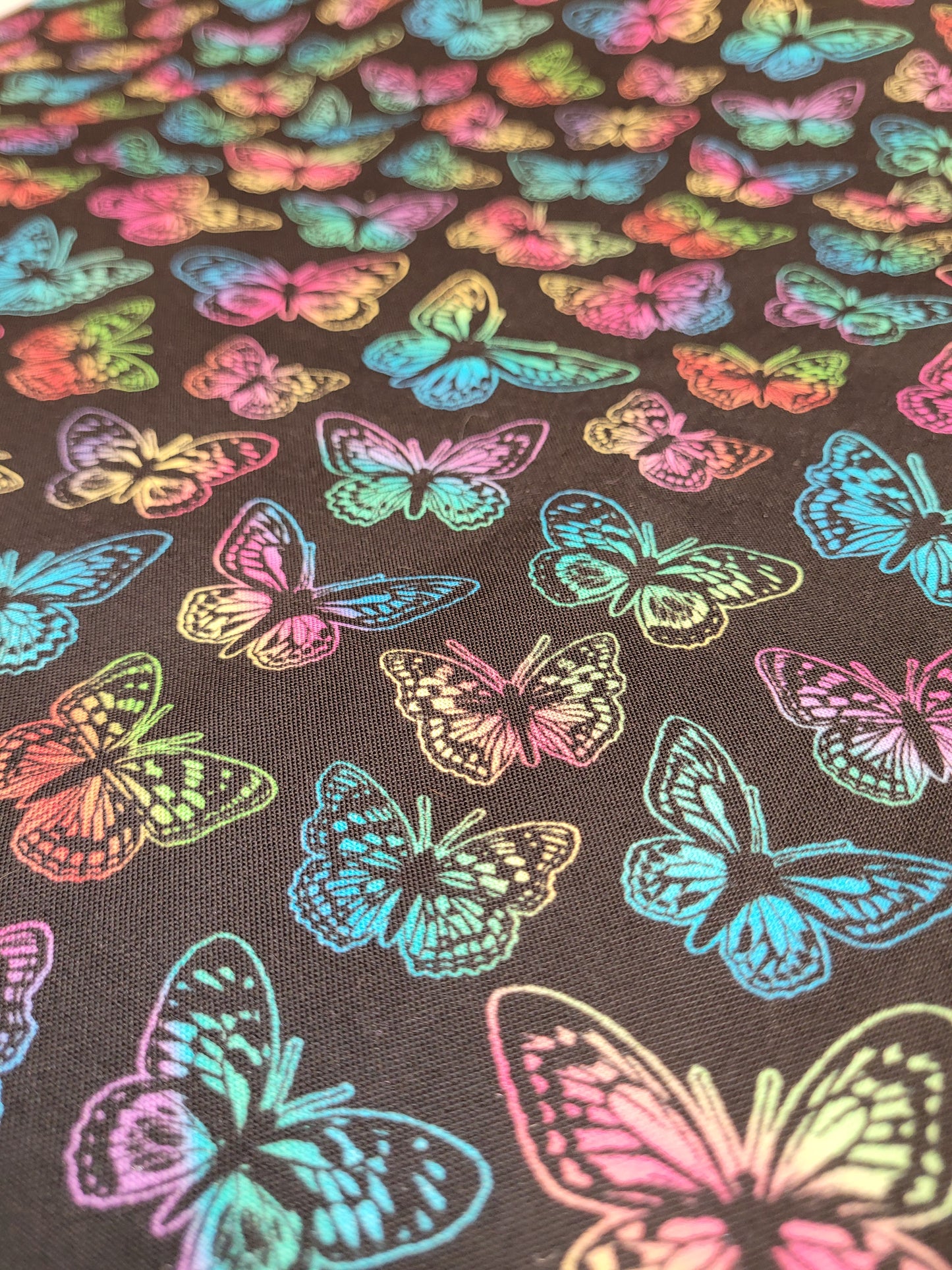 Little Johnny Butterfly