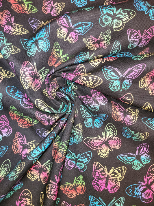 Little Johnny Butterfly