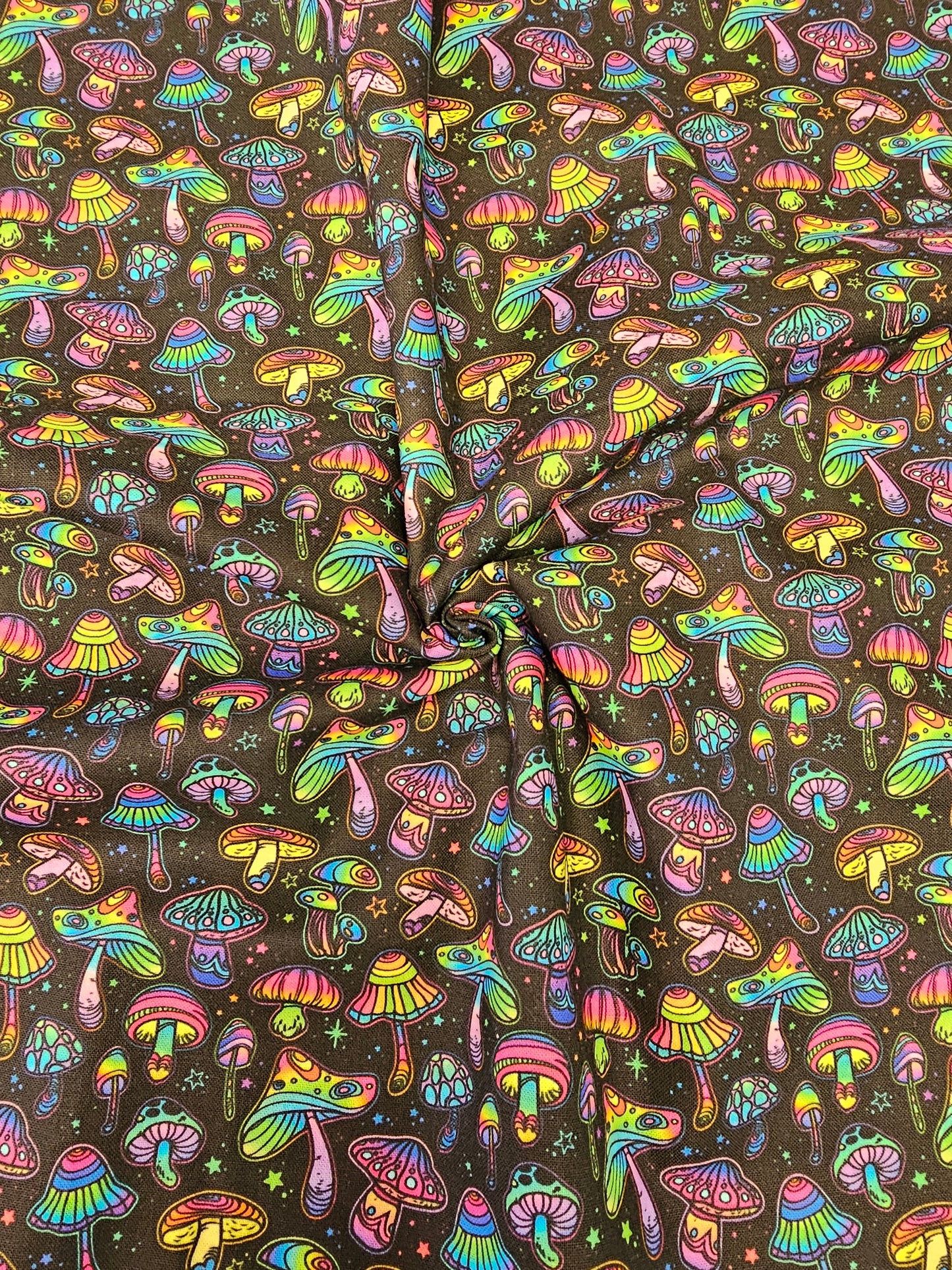 Multicolour Mushroom