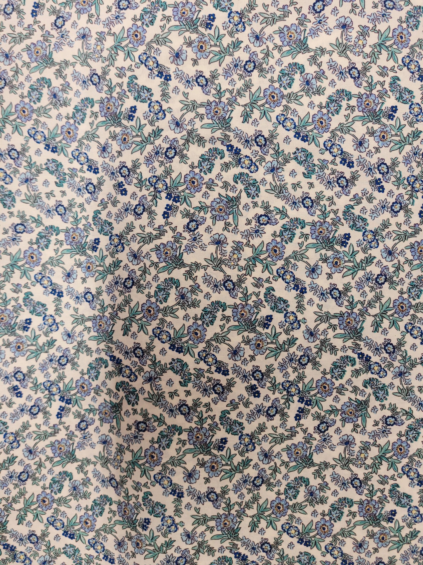 Spray Ditsy Floral Blue on Cream