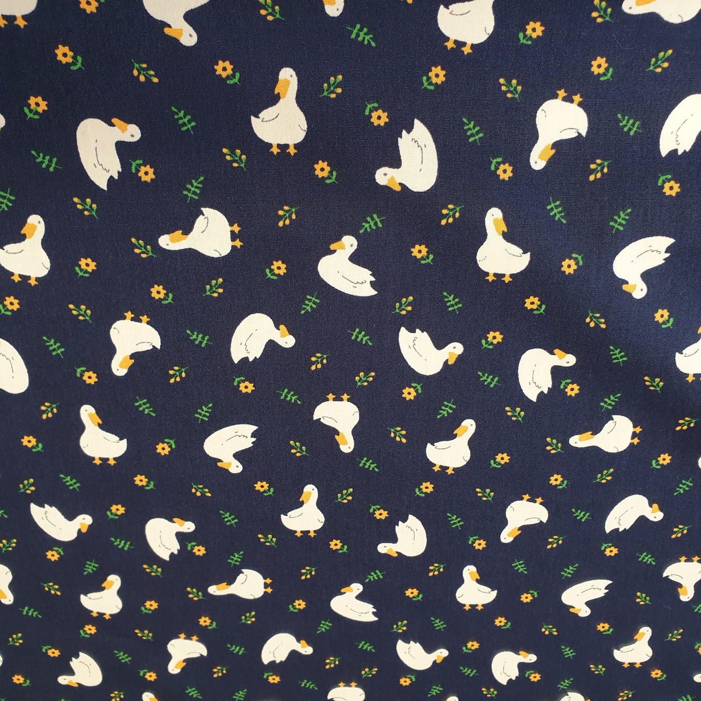 Cotton Ducks Navy blue