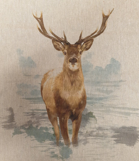 Stag