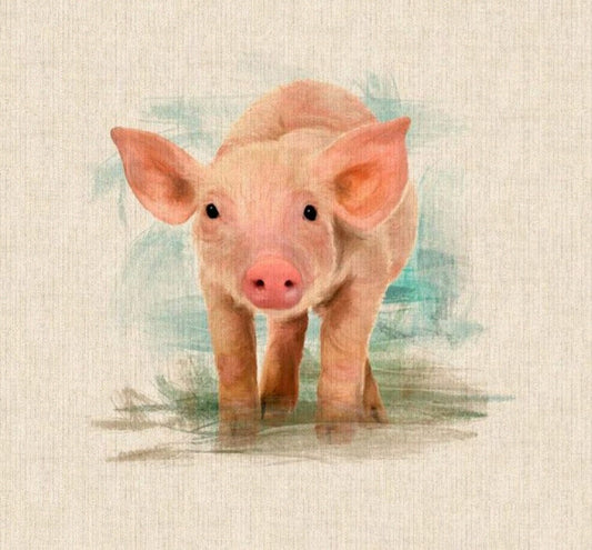 Pig