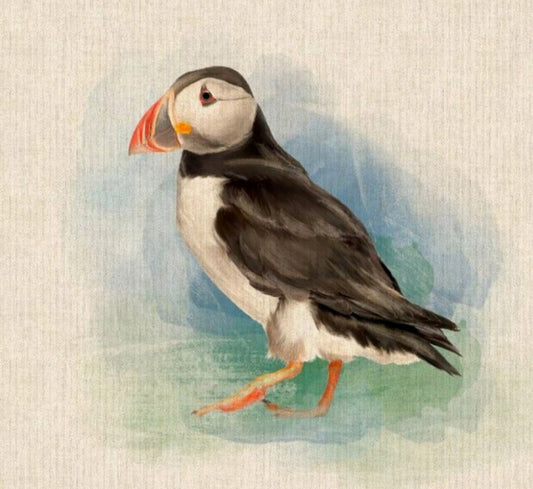 Puffin